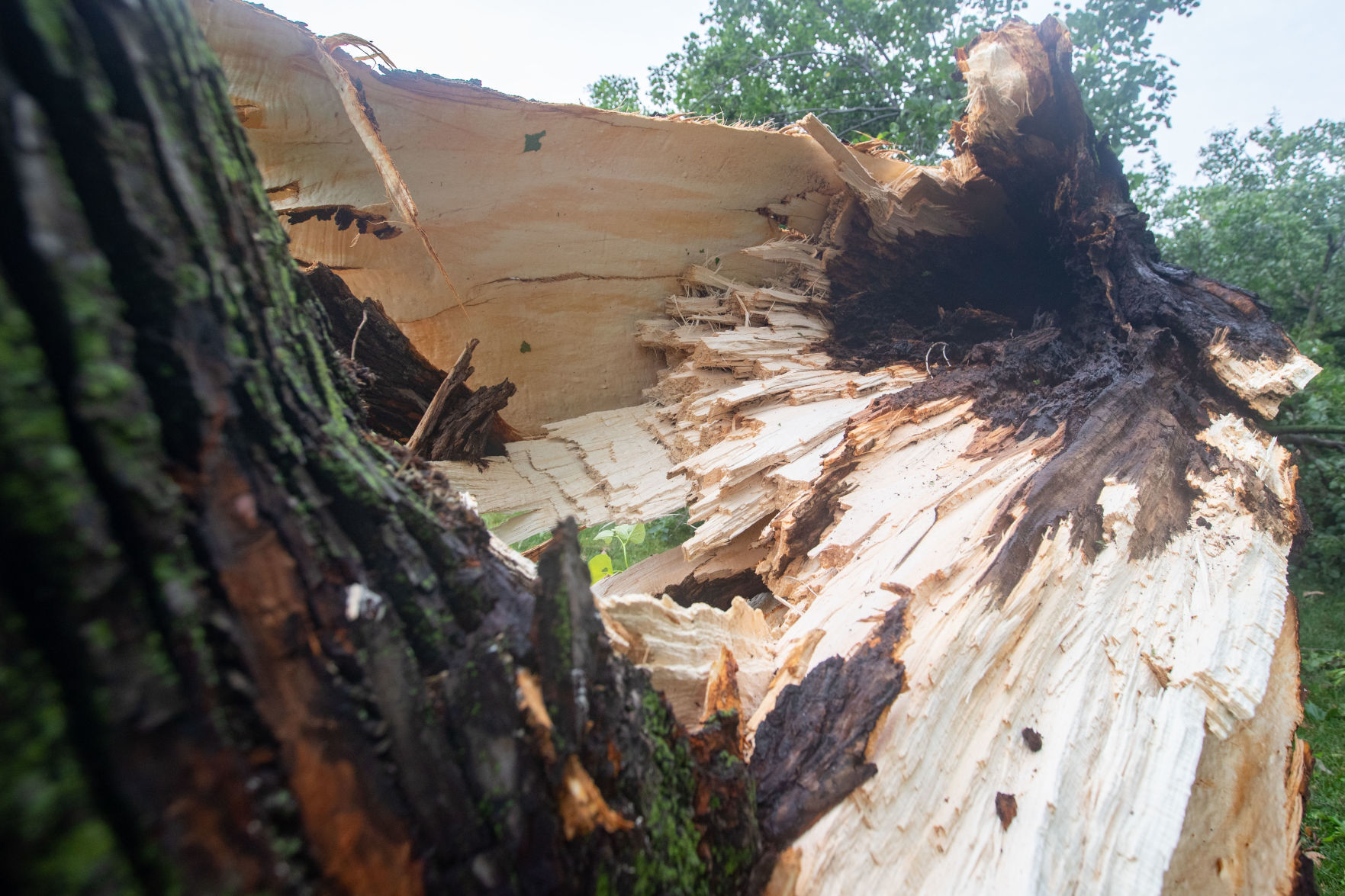 071121-owh-stormdamage-LS05.JPG